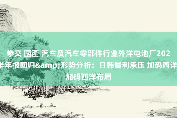 拳交 國產 汽车及汽车零部件行业外洋电池厂2024年半年报回归&形势分析：日韩量利承压 加码西洋布局