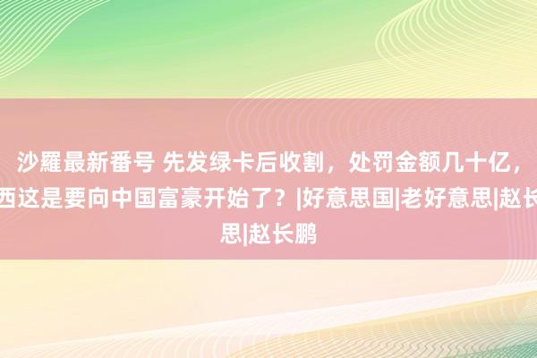 沙羅最新番号 先发绿卡后收割，处罚金额几十亿，泰西这是要向中国富豪开始了？|好意思国|老好意思|赵长鹏