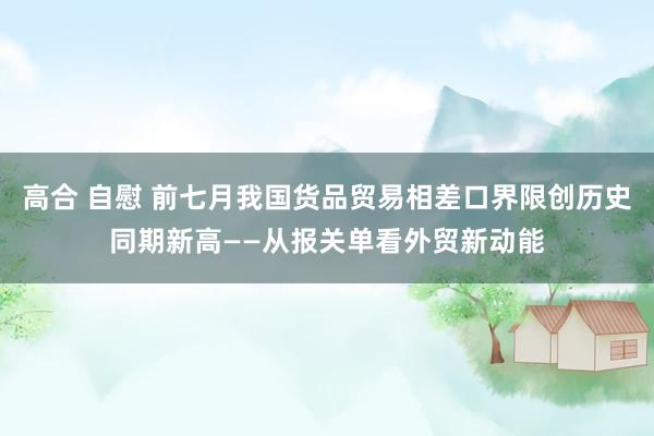 高合 自慰 前七月我国货品贸易相差口界限创历史同期新高——从报关单看外贸新动能