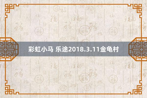 彩虹小马 乐途2018.3.11金龟村