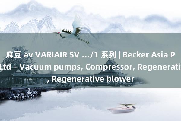 麻豆 av VARIAIR SV .../1 系列 | Becker Asia Pacific Pte Ltd – Vacuum pumps， Compressor， Regenerative blower