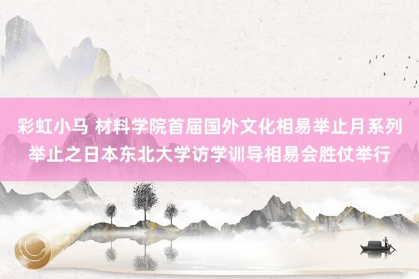 彩虹小马 材料学院首届国外文化相易举止月系列举止之日本东北大学访学训导相易会胜仗举行