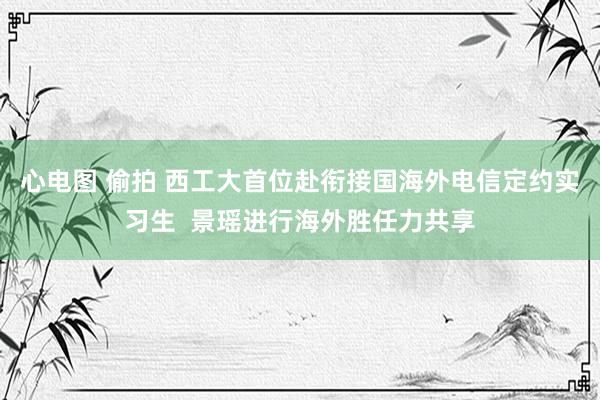 心电图 偷拍 西工大首位赴衔接国海外电信定约实习生  景瑶进行海外胜任力共享