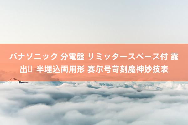 パナソニック 分電盤 リミッタースペース付 露出・半埋込両用形 赛尔号苛刻魔神妙技表