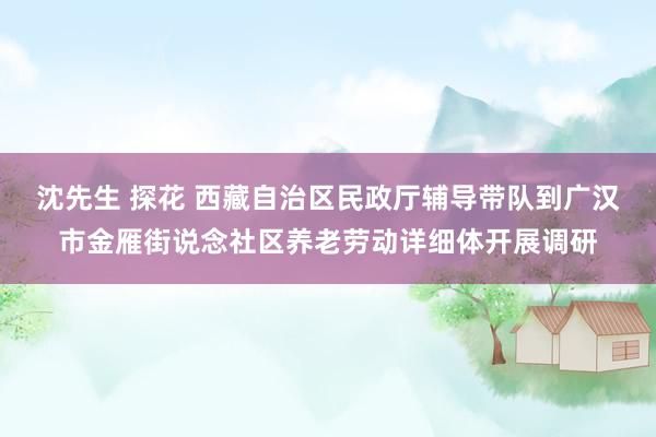 沈先生 探花 西藏自治区民政厅辅导带队到广汉市金雁街说念社区养老劳动详细体开展调研