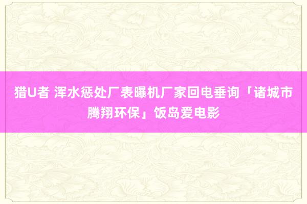 猎U者 浑水惩处厂表曝机厂家回电垂询「诸城市腾翔环保」饭岛爱电影