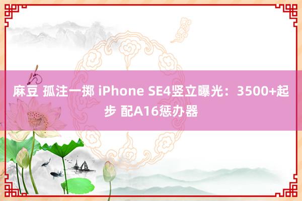 麻豆 孤注一掷 iPhone SE4竖立曝光：3500+起步 配A16惩办器