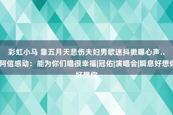 彩虹小马 靠五月天悲伤夫妇　男歌迷抖擞曝心声...阿信感动：能为你们唱很幸福|冠佑|演唱会|瞬息好想你