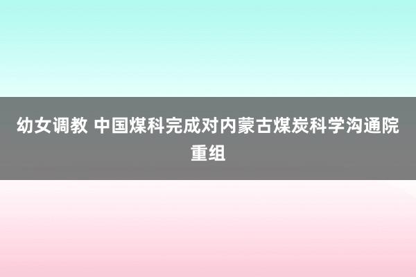 幼女调教 中国煤科完成对内蒙古煤炭科学沟通院重组