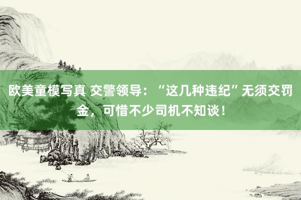 欧美童模写真 交警领导：“这几种违纪”无须交罚金，可惜不少司机不知谈！