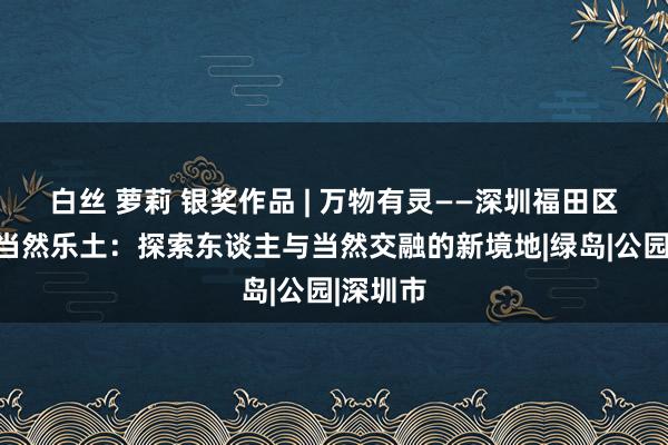 白丝 萝莉 银奖作品 | 万物有灵——深圳福田区的低碳当然乐土：探索东谈主与当然交融的新境地|绿岛|公园|深圳市