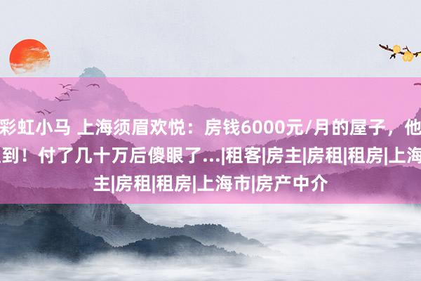 彩虹小马 上海须眉欢悦：房钱6000元/月的屋子，他3500元就租到！付了几十万后傻眼了...|租客|房主|房租|租房|上海市|房产中介